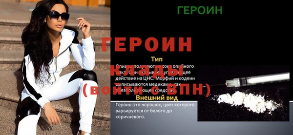 дмт Гусев