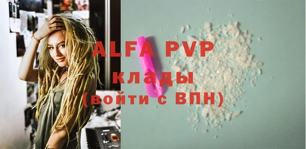 дмт Гусев
