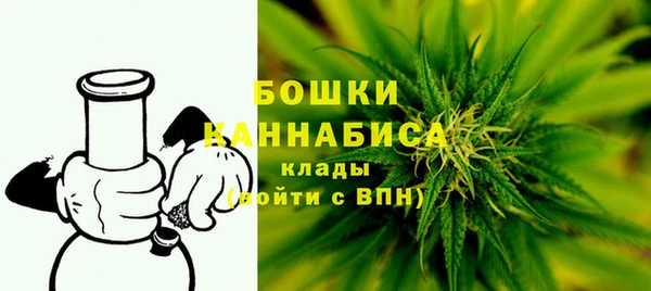 дмт Гусев