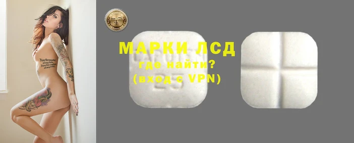 дмт Гусев