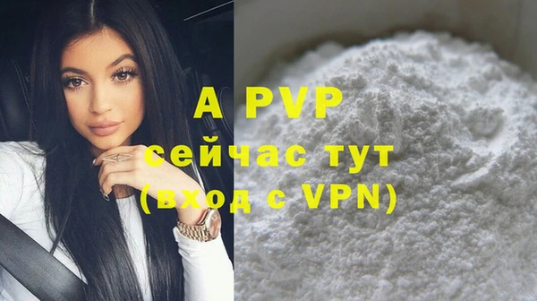 дмт Гусев