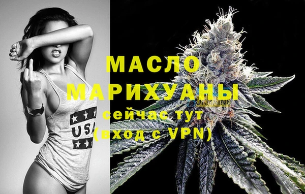 дмт Гусев